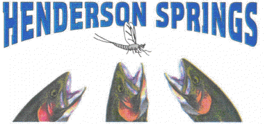Henderson Springs